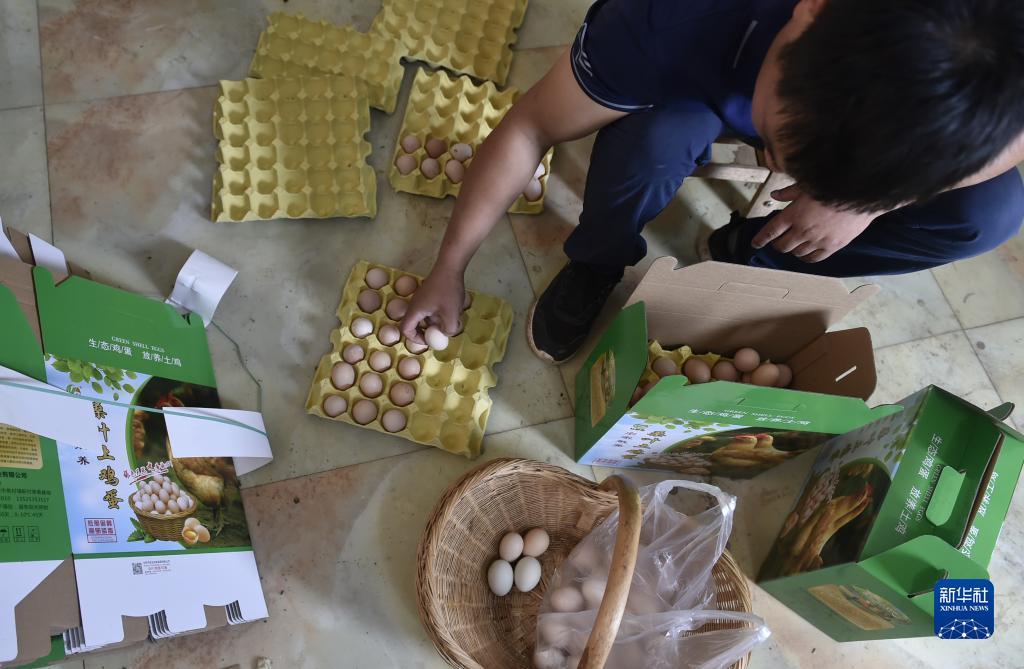 十大最新棋牌